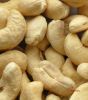 High quality Cashew nuts WW240, WW320, WW450, roasted cashew nuts