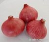 Sell Fresh Red Onion&Yellow Onion