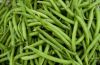Sell Canned French Green Beans