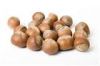 Hazelnuts