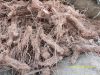 Sell Turmericc Rotor Root