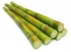 Sell fresh sugarcane