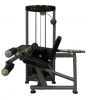Sell Multi Function Gym Fitness Equipment Extension & Curl Machine