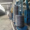 Sell  High Quality Steel Wire Rods