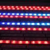 5050 24 volt led strip light