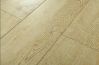 Sell European Oak (Champion) Laminate Flooring