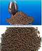 Fertilizer grade diammonium phosphate DAP and NPK fertilizer