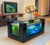 Table Aquariums