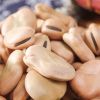 Broad beans for sale