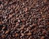 COCOA BEANS