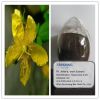 Sell St.John's. Wort Extract