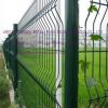 Sell wire mesh fence