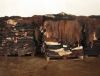 Sell Wet Blue and Dry Salted Cow, Goat, Sheep and Bufallo Hides