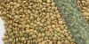 Dried Lentils, Wholesale Lentils and Peas, Bulk Lentils - Red, Green, & More, Premium Lentils