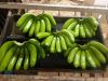 Sweetheart Banana, Banana Fruits for sale, Fresh Cavendish Bananas, Dwarf Bananas, Small Banana, Organic Bananas for Sale