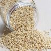 Buy White Sorghum Grains, Whole Grain Sorghum, Bulk Red Sorghum For Sale