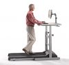 Sell LifeSpan TR1200-DT Treadmill Desk (2013 Model)