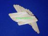 Sell wood medical tongue depressors