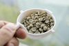 Coffee Green Beans Grade AA