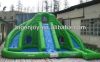 Sell Inflatable Water Slides