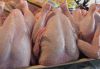 Frozen Halal Chicken Breast Meat