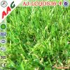 artifical grass for home decoration