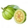 Sell Garcinia cambogia 60% extract