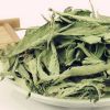 Sell Natural Stevia extract RA 40%-98%