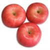 Sell Fuji fruit apple new