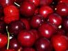 fresh cherries