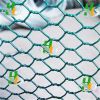 Sell PVC COATED HEXAGONAL WIRE NETTING