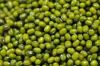 Sell mung bean