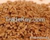 Wheat Best Grade For Sell