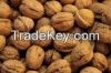 Sell Offer Walnuts 50% Discount