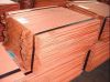 Sell Copper cathode