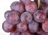 Sell Fresh purple Grapes