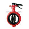 Lined Concentric Butterfly Valve