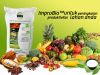 Organic Fertilizer Supplier/manufacture