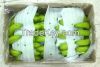 BANANA ready for export, FAST N FRESH EXPORT INDIA.