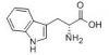 Sell High Efficiently Supplying Amino Acids