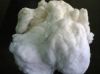 COTTON YARN AND COTTON WASTE