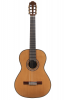 classical guitar