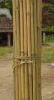 Bamboo poles cheap