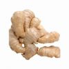 Sell Ginger Extract