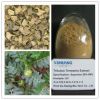 Sell Tribulus Terrestris Extract