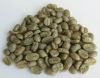 Sell Java Arabica Civet Coffee