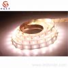 Sell 2835 SMD led strip light 60D  12V