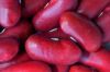 Red Kidney Bean