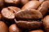 ROBUSTA COFFEE BEAN