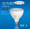 40W par30 lamp